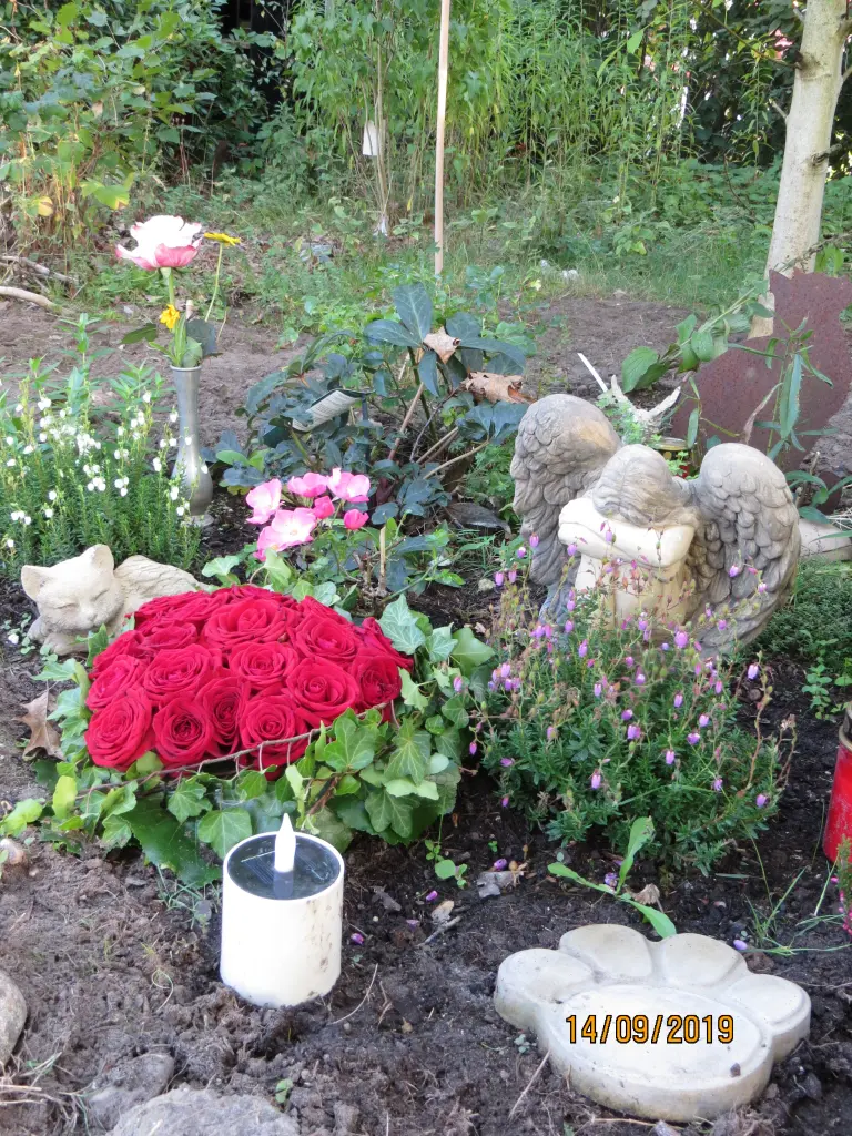 Andachtsbild von Uschi mit Seelenfreunden Shiva, Jojo und Merlin