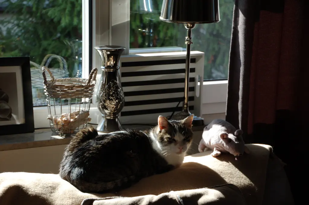 Andachtsbild von ♥♥♥♥♥♥ 