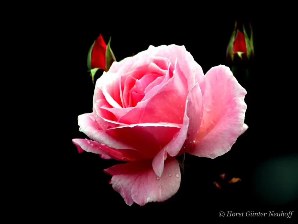 Andachtsbild von Ein lieber Gruß von Brigitta und♥Sam♥