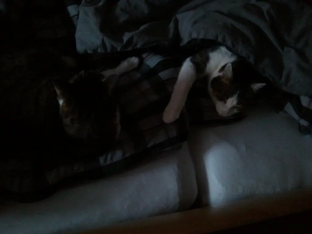 Andachtsbild von Anja mit Willi