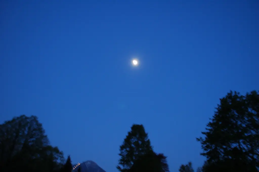 Andachtsbild von Deiner Anja ♥ die Dich wahnsinnig vermisst