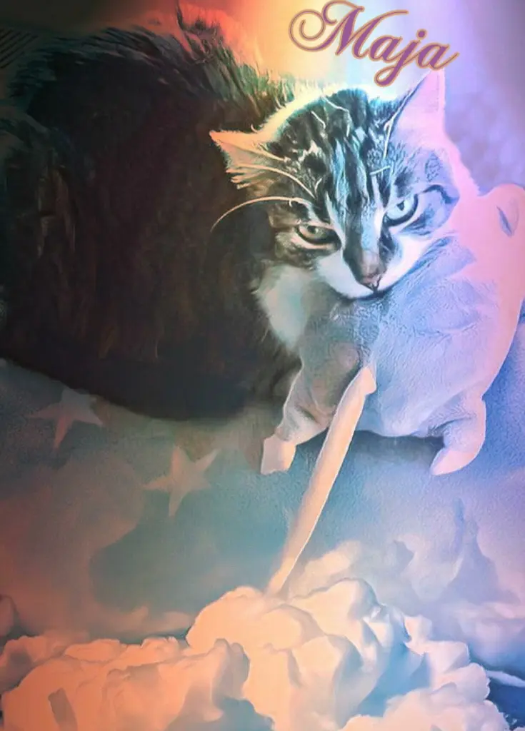 Andachtsbild von Maja