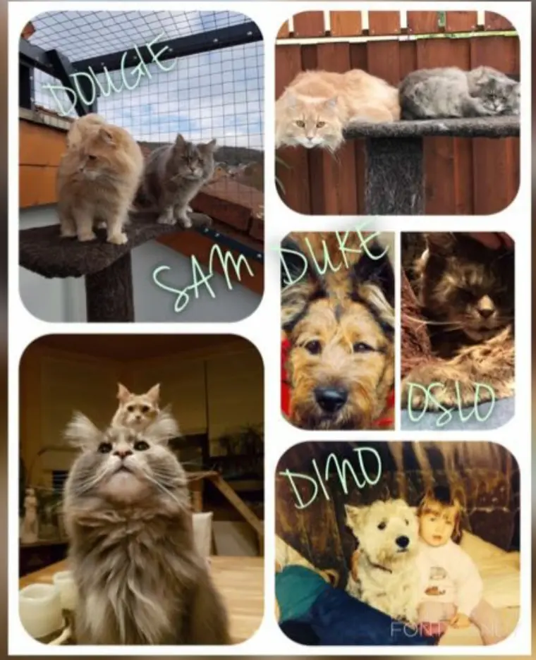 Andachtsbild von Ein lieber Gruß zum Wochenende♥♥