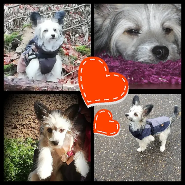 Andachtsbild von Michaela mit Nicko und Ariane ganz tief im ❤