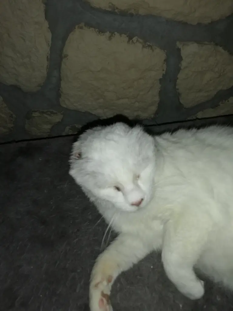 Andachtsbild von Marion