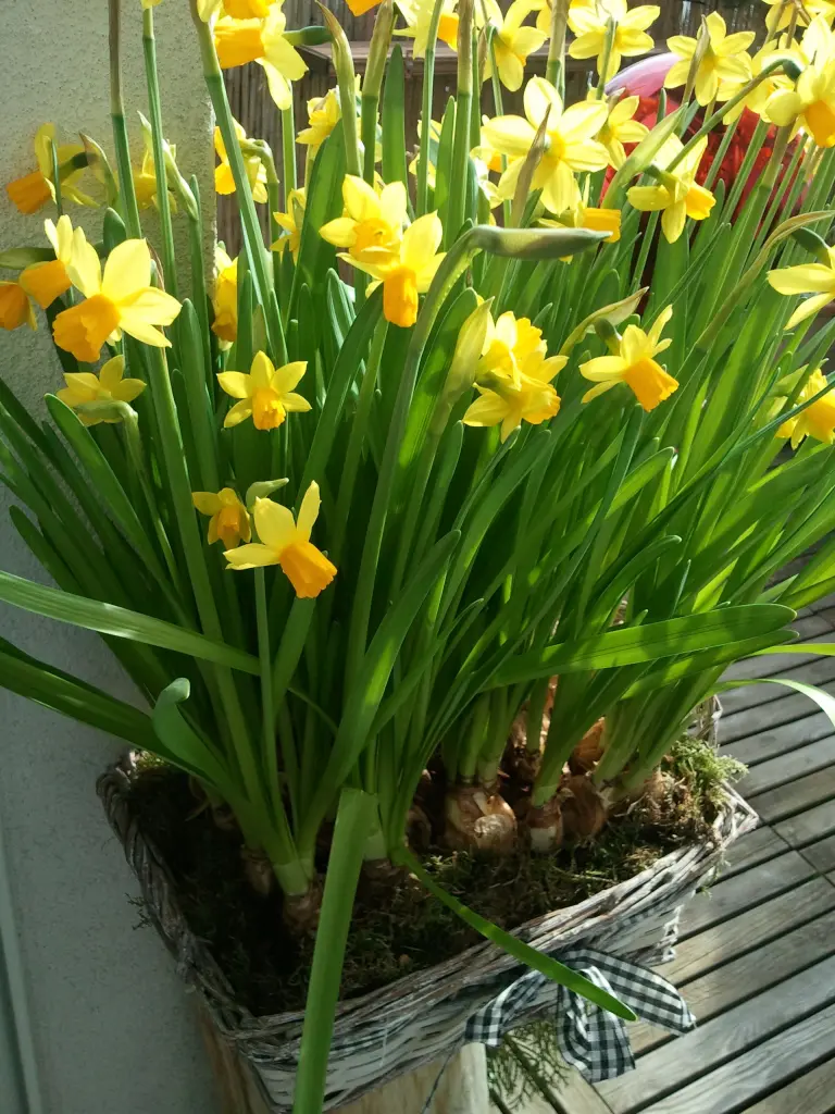 Andachtsbild von ♥♥♥♥♥♥