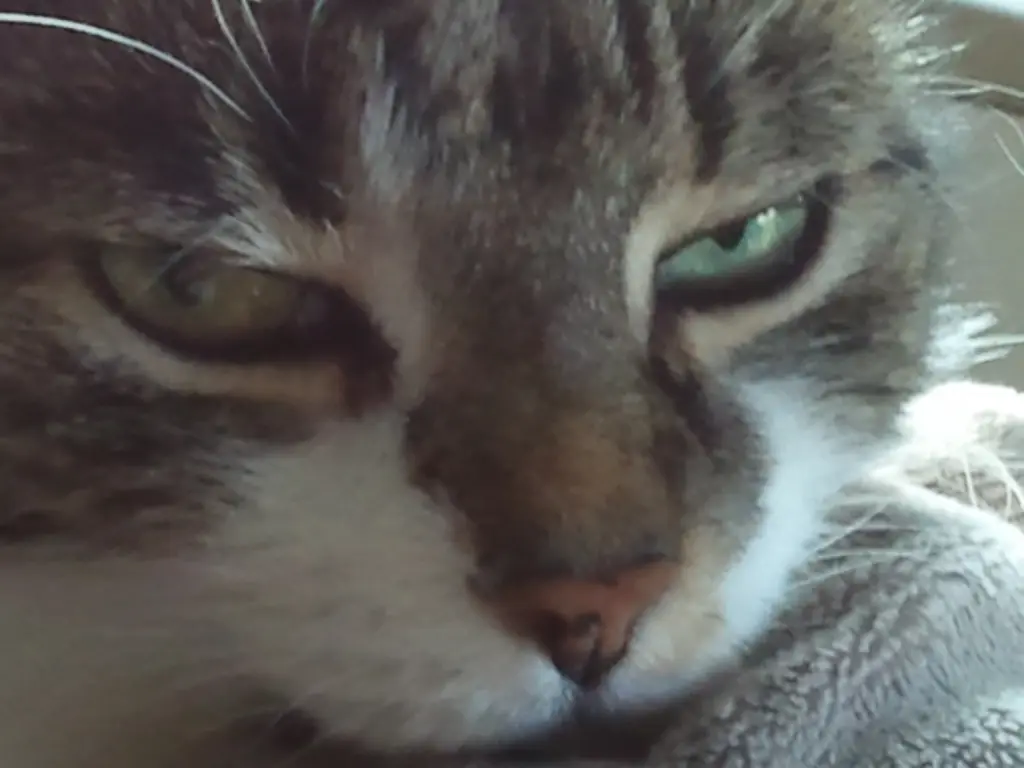 Andachtsbild von Für † 9 Monate