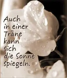 Andachtsbild von Uschi mit Seelenfreunden Shiva, Jojo und Merlin