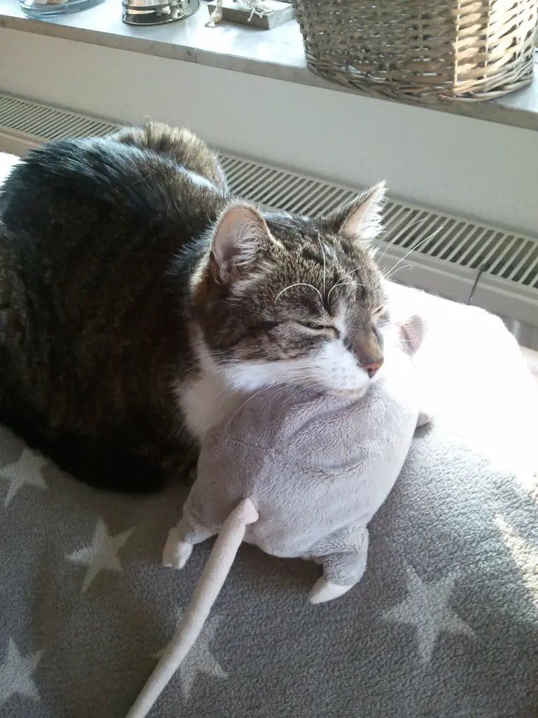 Andachtsbild von ♥♥♥♥♥♥