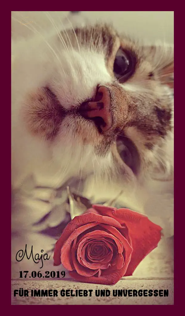 Andachtsbild von Sabine mit Kaspar tief im Herzen