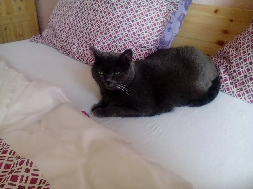 Andachtsbild von gerlinde