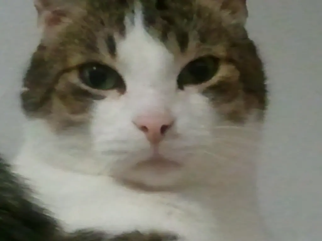 Andachtsbild von ♥♥♥♥♥♥