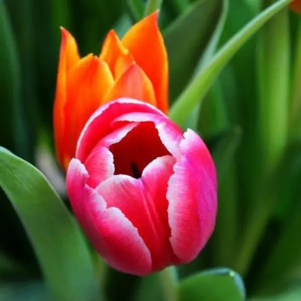 Andachtsbild von Ellen mit Lina ♥️