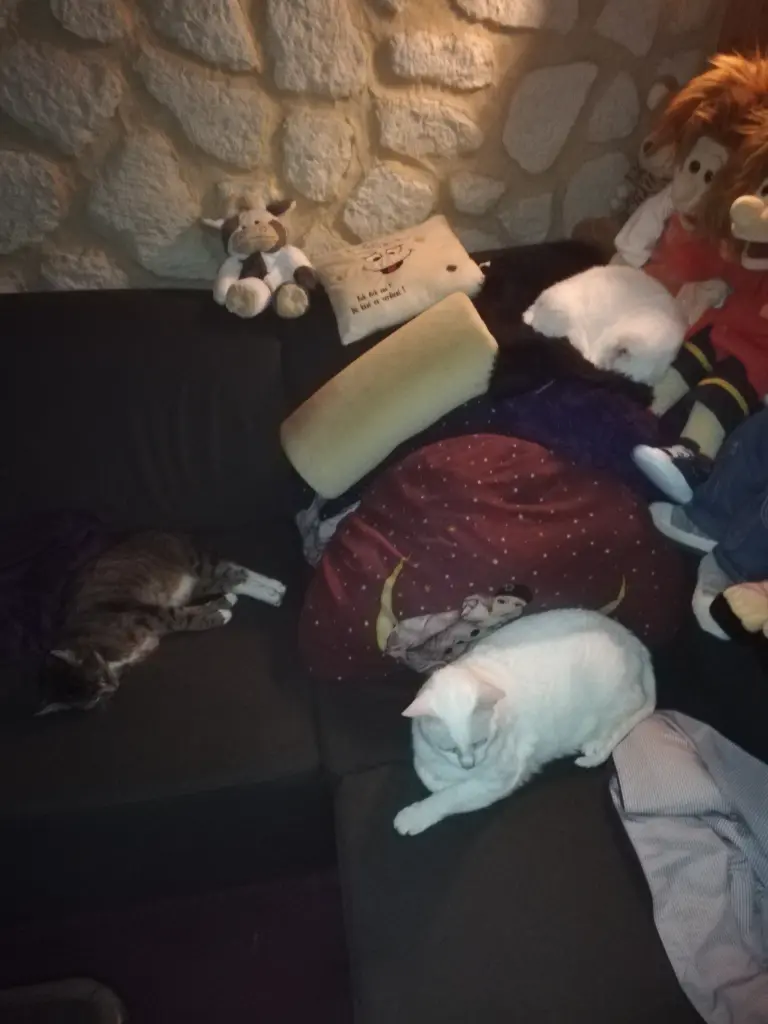 Andachtsbild von Marion