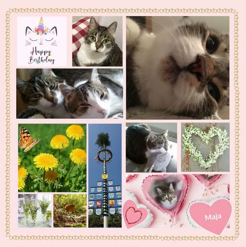 Andachtsbild von Rosen zum 13. Geburtstag für Maja 