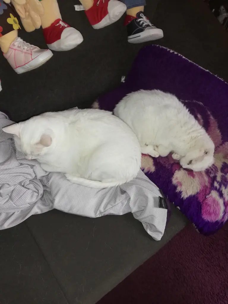 Andachtsbild von Marion