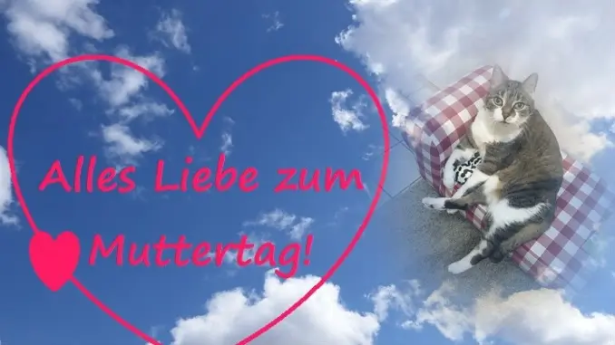 Andachtsbild von ❤️MAMA❤️