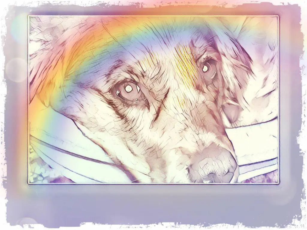 Andachtsbild von Ellen mit Lina ♥️