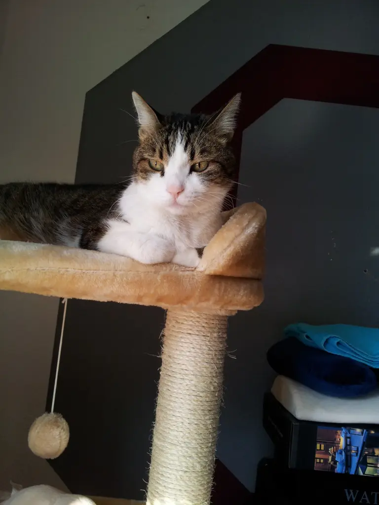 Andachtsbild von Tanja mit Timmy im Herzen 