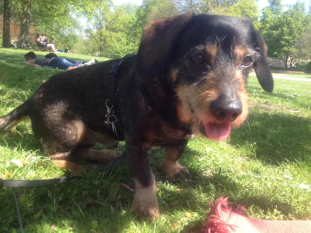 Andachtsbild von Nata mit Max im Herzen