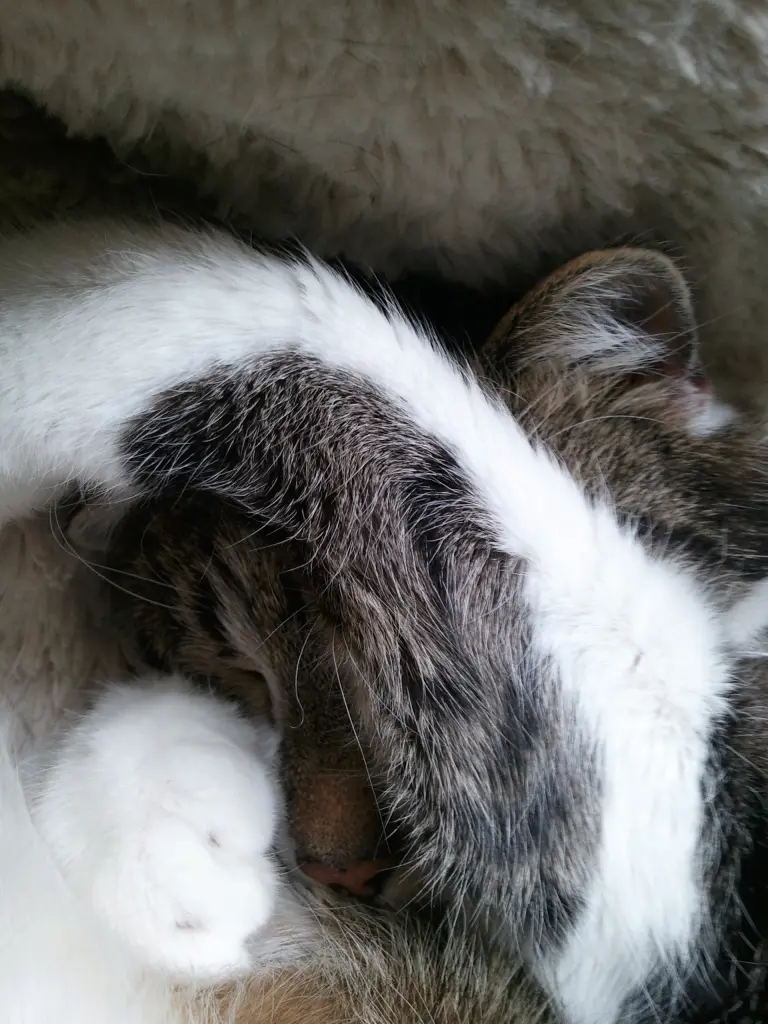 Andachtsbild von Anja & Sven & Deinem Bruder ♥♥Willi♥♥