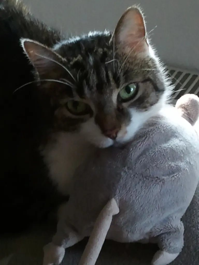 Andachtsbild von † 52 Wochen