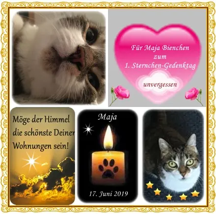 Andachtsbild von Ilse mit ihren geliebten Sternlein im Herzen