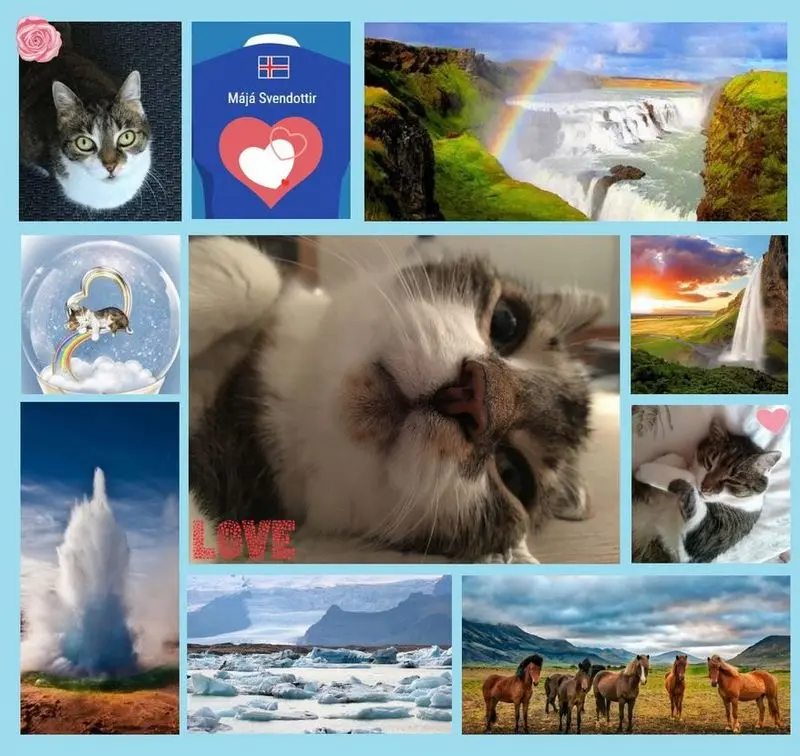 Andachtsbild von Rosen für Maja zum 1. Sternchengeburtstag