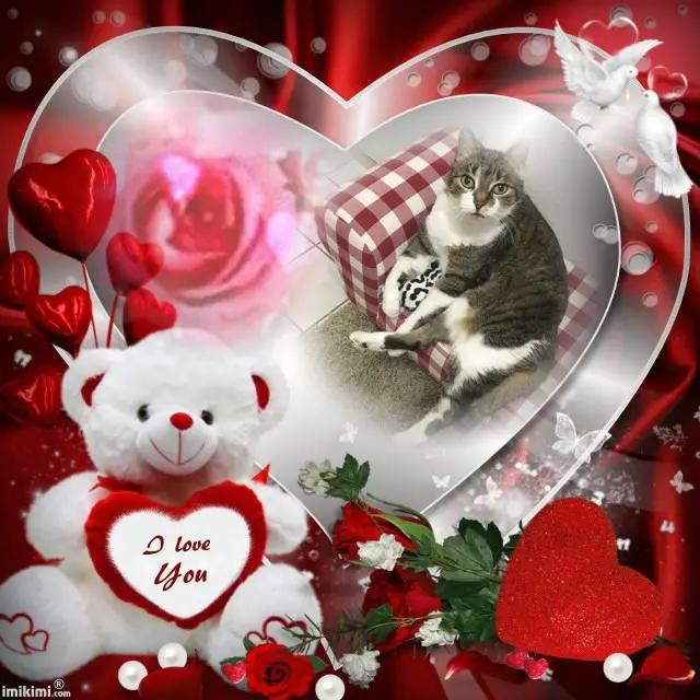 Andachtsbild von 1.Sternchen❤️Gedenktag❤️