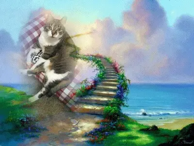 Andachtsbild von ❤️MAJA❤️