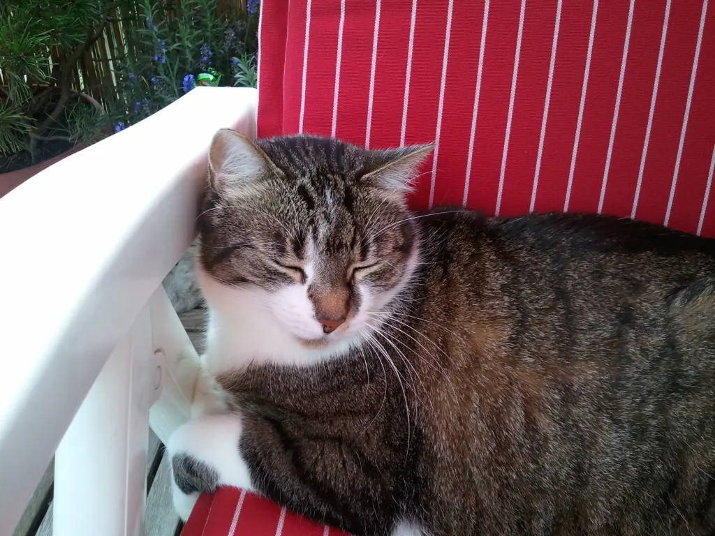 Andachtsbild von ♥100000.... Küsse für dich♥