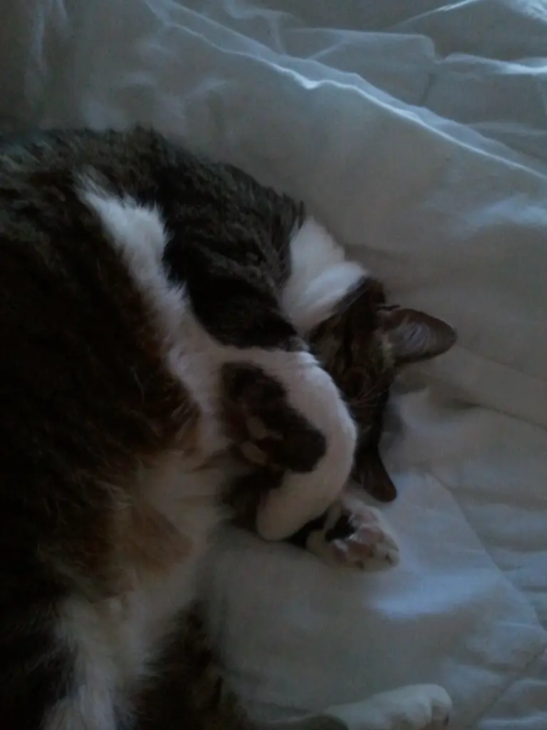 Andachtsbild von Für einen Montag.....†