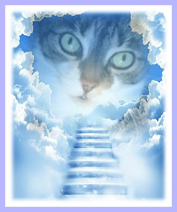 Andachtsbild von Sabine mit Kaspar tief im Herzen