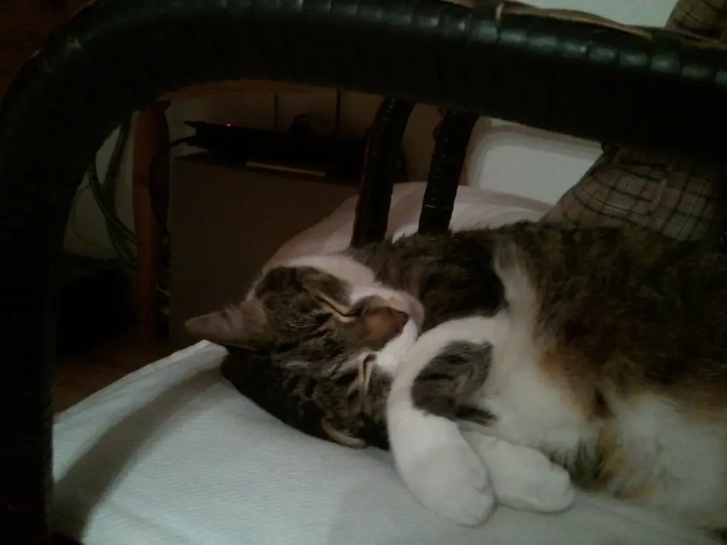 Andachtsbild von Deinem Zuhause♥♥