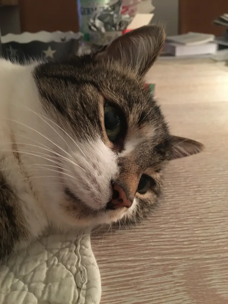 Andachtsbild von ♥♥♥ Für 67 Wochen und einem Montag♥♥♥