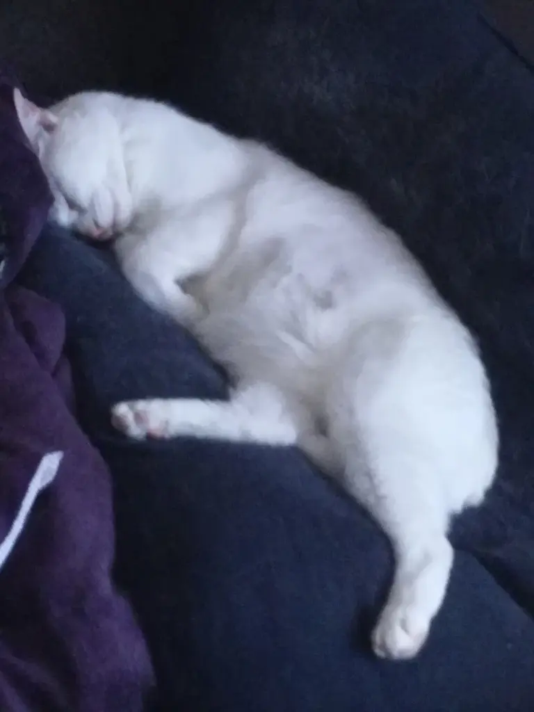 Andachtsbild von Marion