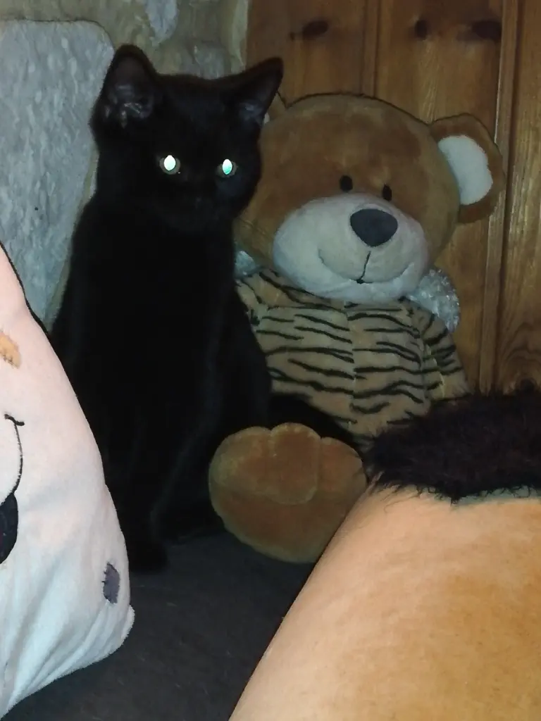 Andachtsbild von Marion