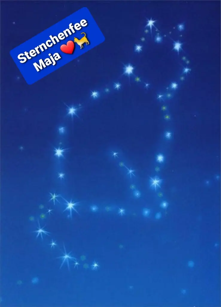 Andachtsbild von Tanja mit Timmy im Herzen