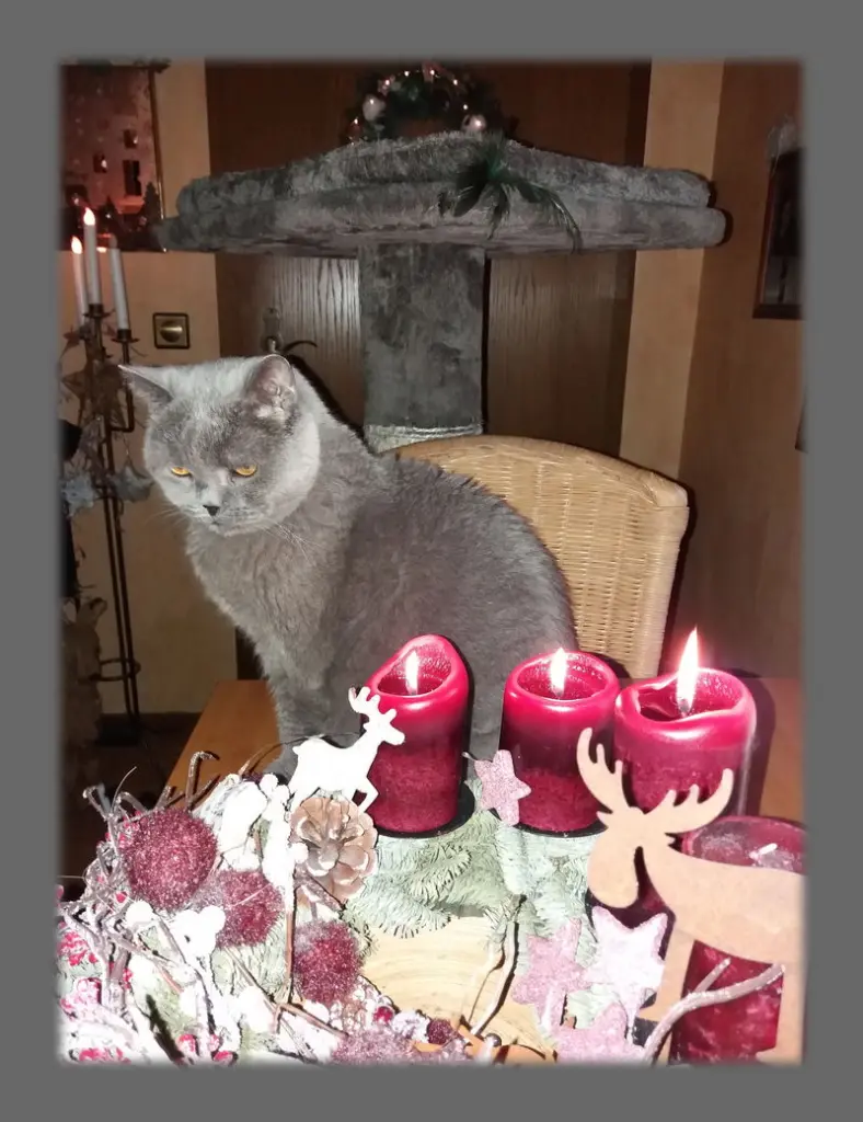 Andachtsbild von Sabine mit Kaspar tief im Herzen