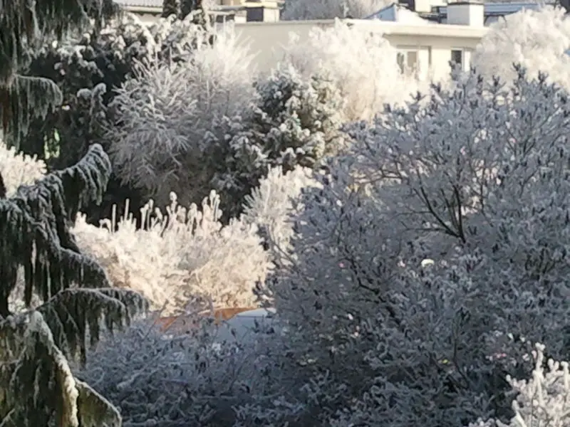 Andachtsbild von ♥★ In Gedenken für Maja - 18 Monate ★♥