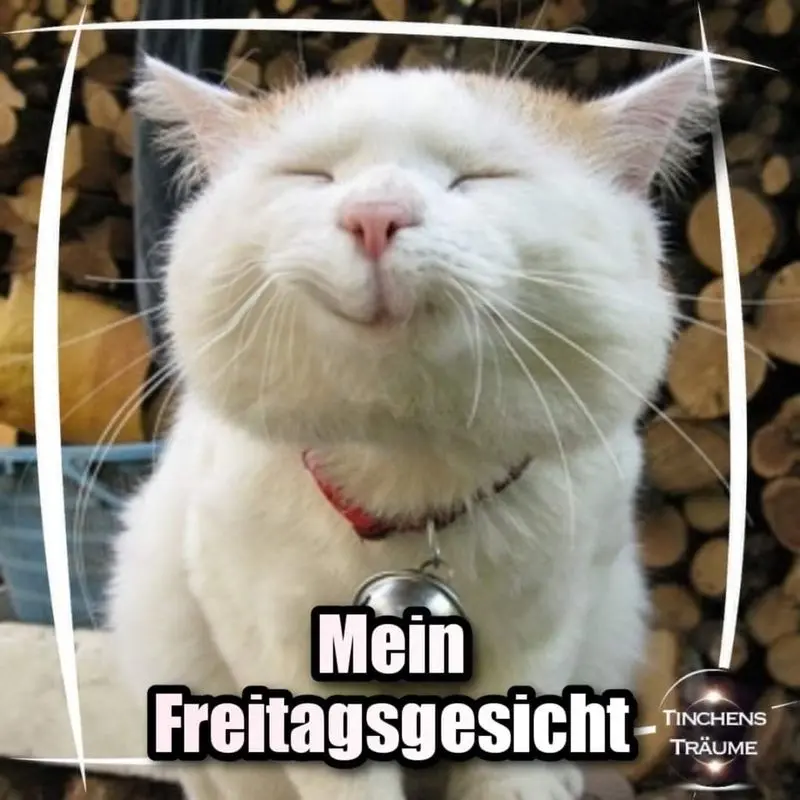 Andachtsbild von Tanja mit Timmy im Herzen 