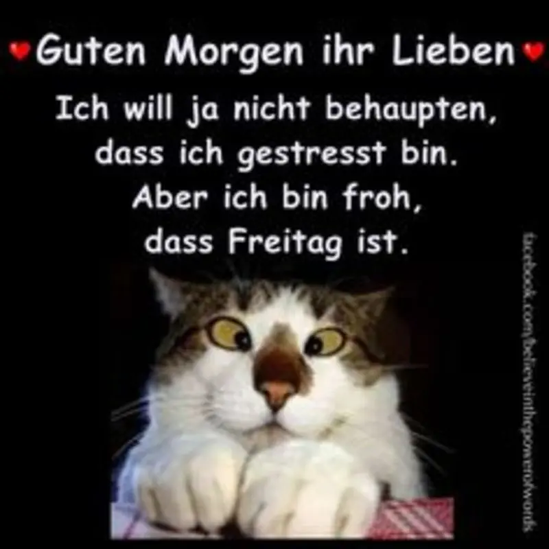 Andachtsbild von Tanja mit Timmy im Herzen 