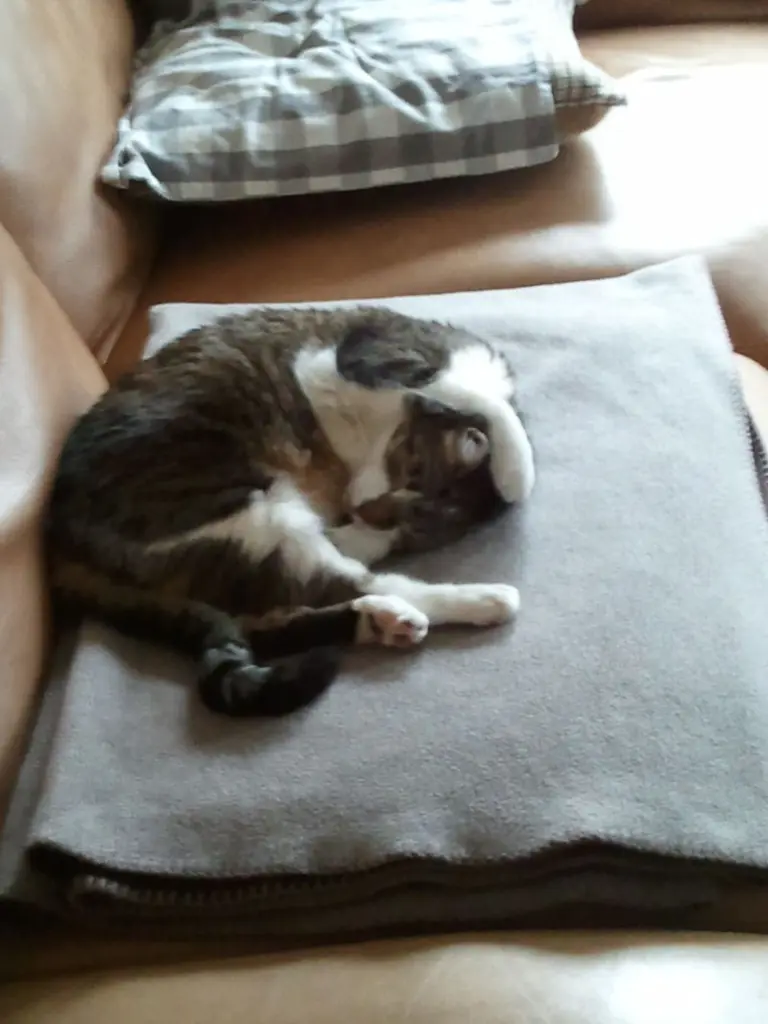 Andachtsbild von Deinem Zuhause♥♥