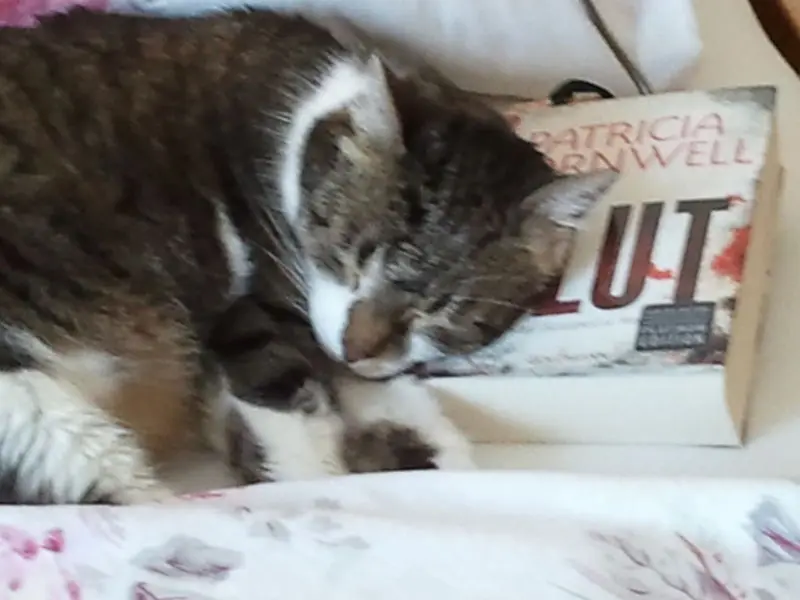 Andachtsbild von Deiner Familie ❤️ die Dich wahnsinnig vermisst