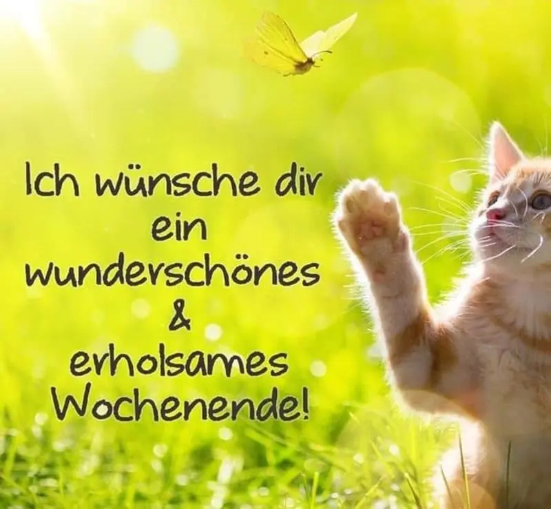 Andachtsbild von Tanja mit Timmy im Herzen