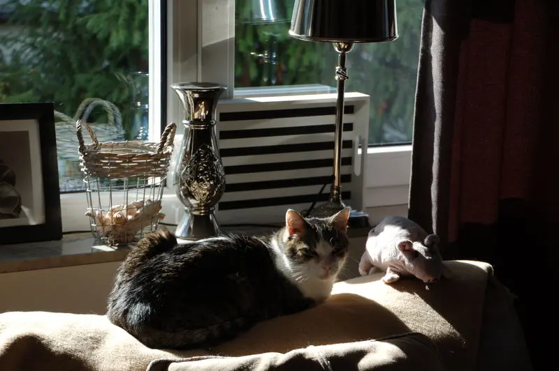 Andachtsbild von Deiner Familie ❤️ die Dich wahnsinnig vermisst