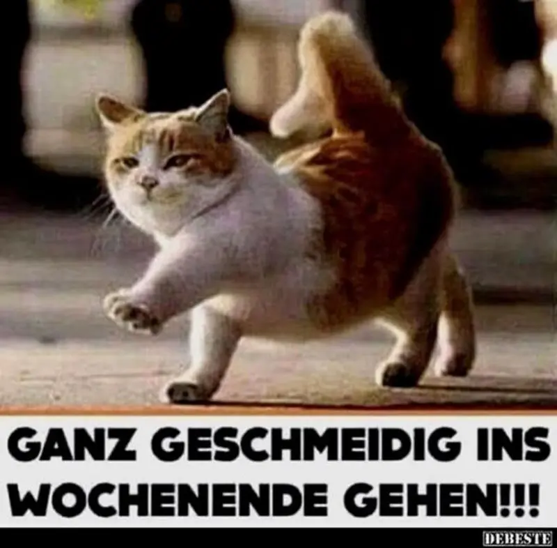 Andachtsbild von Tanja mit Timmy im Herzen 