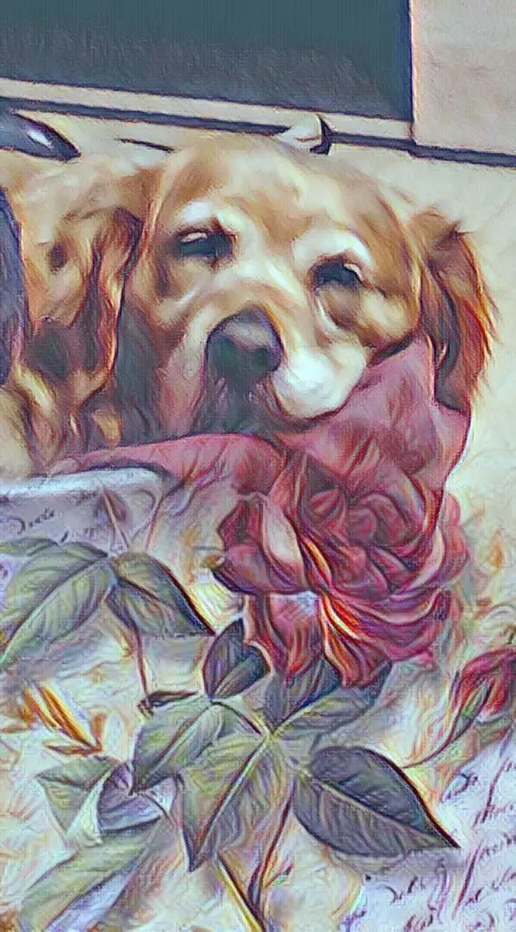 Andachtsbild von Ellen mit Lina ❤️