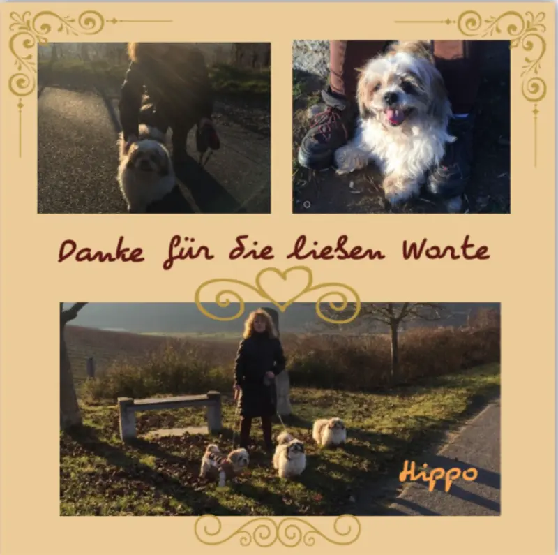 Andachtsbild von Danke liebe Maja, danke liebe Anja