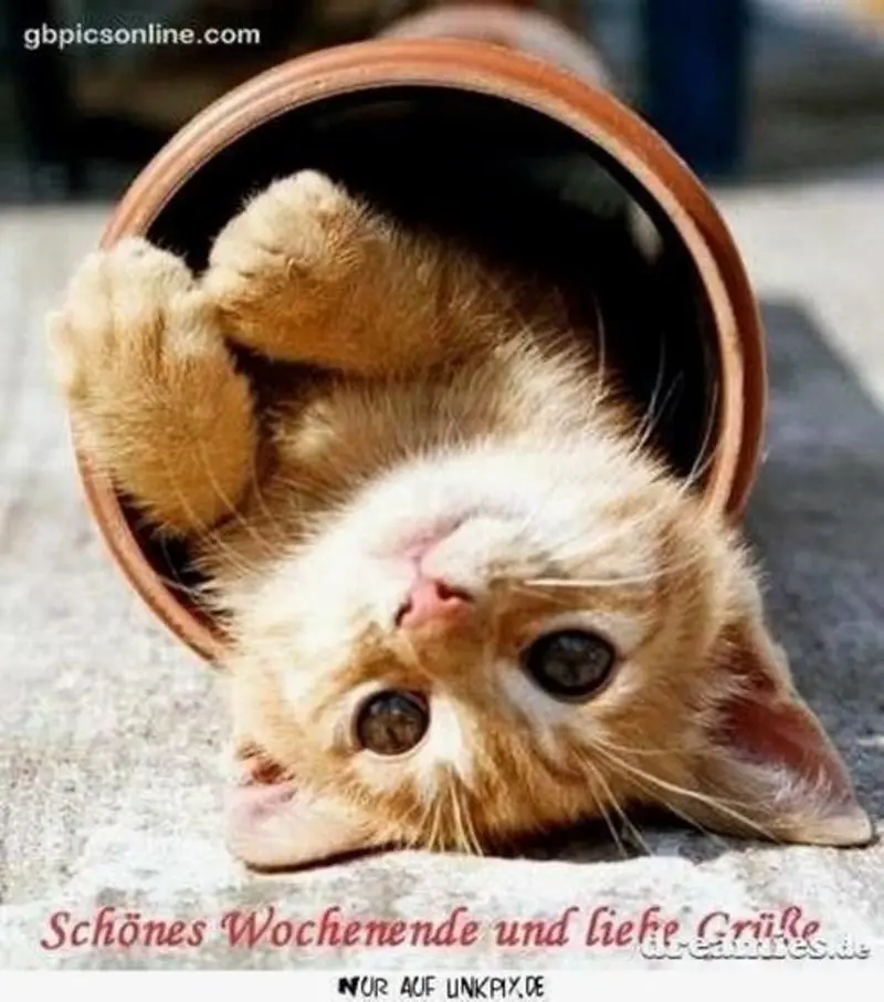 Andachtsbild von Tanja mit Timmy im Herzen 